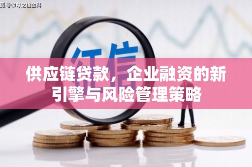 狮潭供应链贷款，企业融资的新引擎与风险管理策略