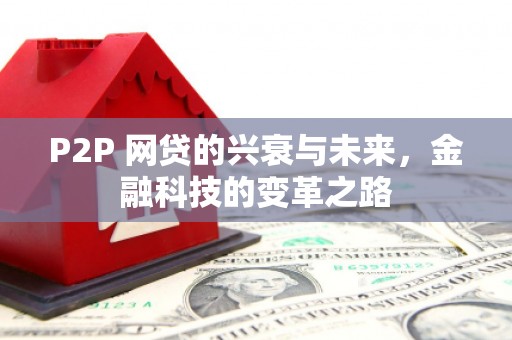 狮潭P2P 网贷的兴衰与未来，金融科技的变革之路