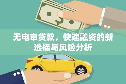 狮潭无电审贷款，快速融资的新选择与风险分析