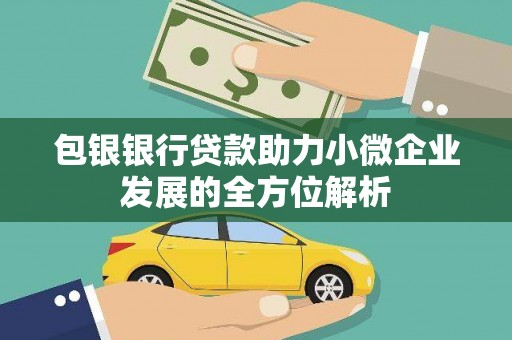 狮潭包银银行贷款助力小微企业发展的全方位解析