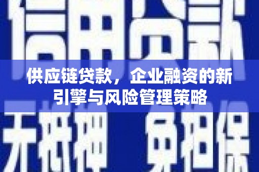 狮潭供应链贷款，企业融资的新引擎与风险管理策略