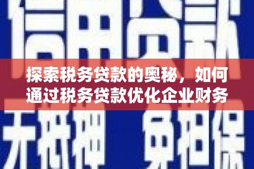 狮潭探索税务贷款的奥秘，如何通过税务贷款优化企业财务