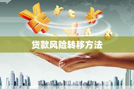 狮潭贷款风险转移方法
