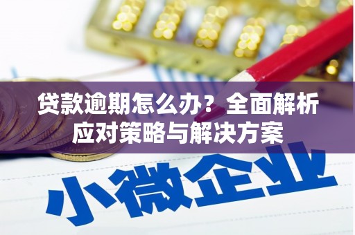 狮潭贷款逾期怎么办？全面解析应对策略与解决方案