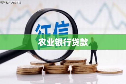狮潭农业银行贷款