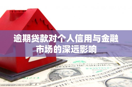狮潭逾期贷款对个人信用与金融市场的深远影响