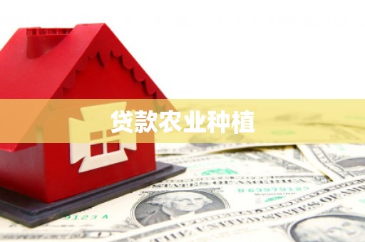 狮潭贷款农业种植