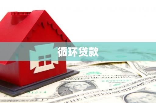 狮潭循环贷款