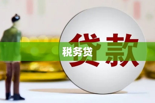 狮潭税务贷