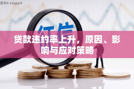 狮潭贷款违约率上升，原因、影响与应对策略