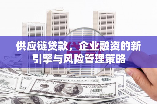 狮潭供应链贷款，企业融资的新引擎与风险管理策略
