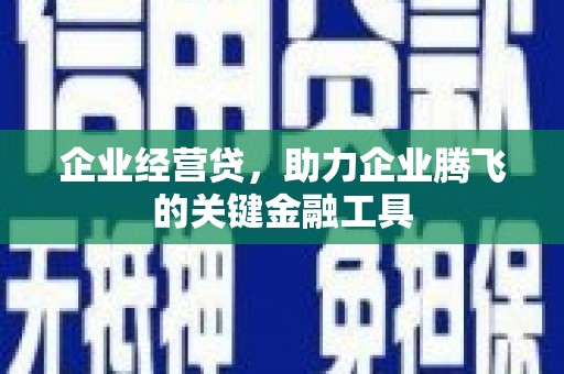 狮潭企业经营贷，助力企业腾飞的关键金融工具