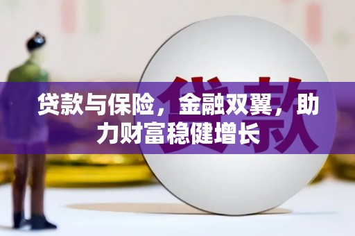 狮潭贷款与保险，金融双翼，助力财富稳健增长