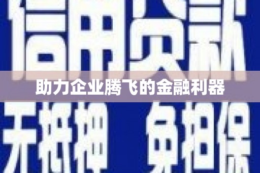 狮潭助力企业腾飞的金融利器