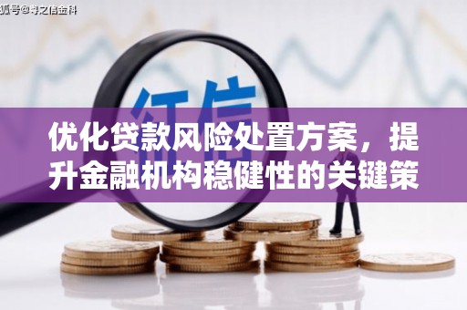 狮潭优化贷款风险处置方案，提升金融机构稳健性的关键策略
