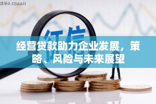 狮潭经营贷款助力企业发展，策略、风险与未来展望