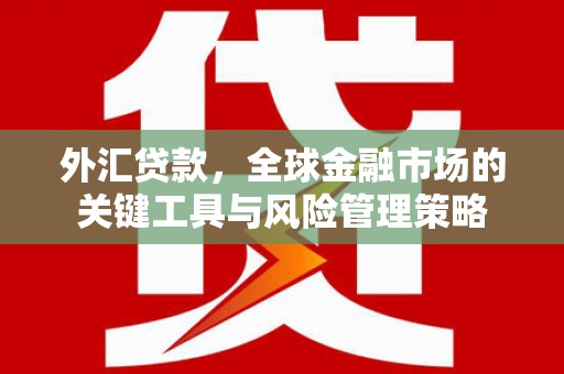 狮潭外汇贷款，全球金融市场的关键工具与风险管理策略