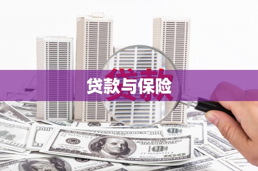 狮潭贷款与保险