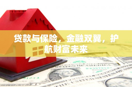 狮潭贷款与保险，金融双翼，护航财富未来