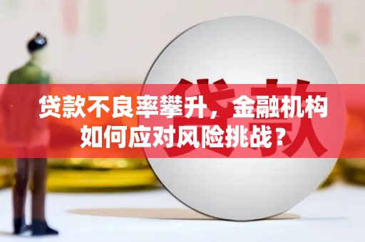 狮潭贷款不良率攀升，金融机构如何应对风险挑战？