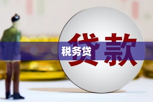 狮潭税务贷