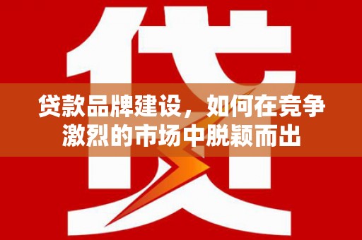 狮潭贷款品牌建设，如何在竞争激烈的市场中脱颖而出