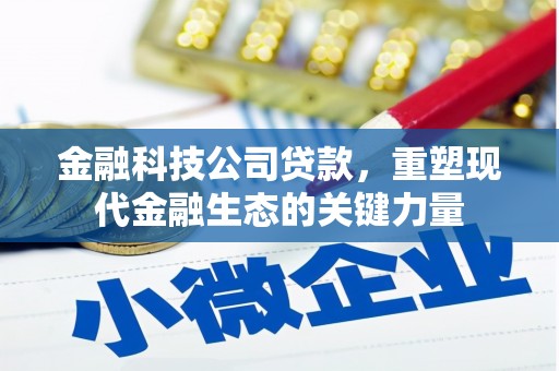 狮潭金融科技公司贷款，重塑现代金融生态的关键力量