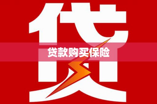 狮潭贷款购买保险