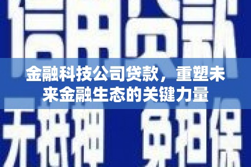 狮潭金融科技公司贷款，重塑未来金融生态的关键力量