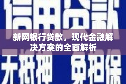 狮潭新网银行贷款，现代金融解决方案的全面解析