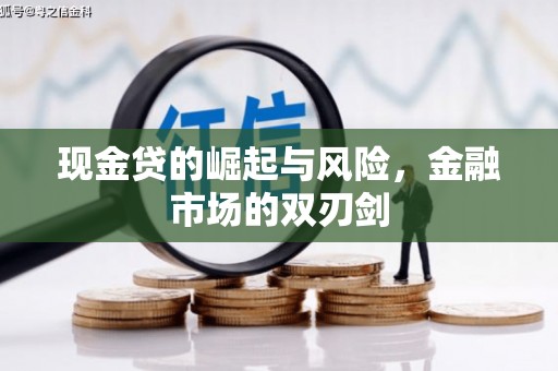 狮潭现金贷的崛起与风险，金融市场的双刃剑