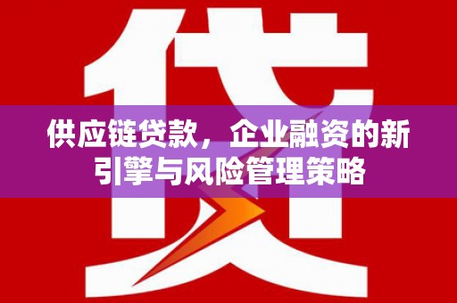 狮潭供应链贷款，企业融资的新引擎与风险管理策略