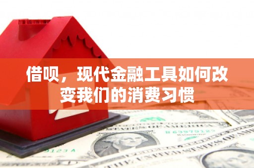 狮潭借呗，现代金融工具如何改变我们的消费习惯