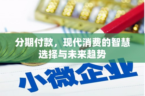 狮潭分期付款，现代消费的智慧选择与未来趋势