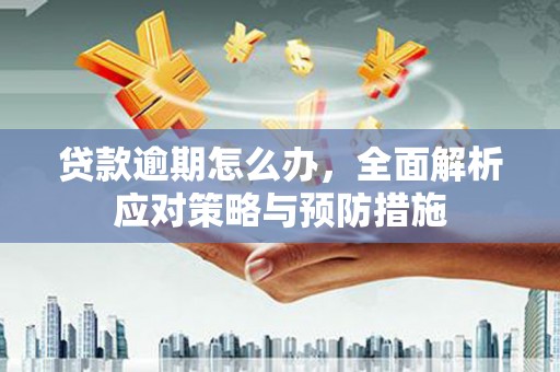 狮潭贷款逾期怎么办，全面解析应对策略与预防措施