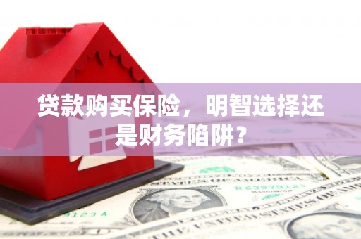 狮潭贷款购买保险，明智选择还是财务陷阱？
