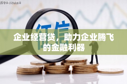 狮潭企业经营贷，助力企业腾飞的金融利器