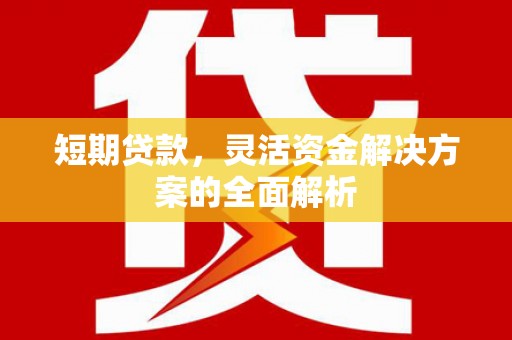 狮潭短期贷款，灵活资金解决方案的全面解析