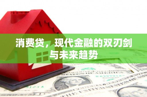 狮潭消费贷，现代金融的双刃剑与未来趋势
