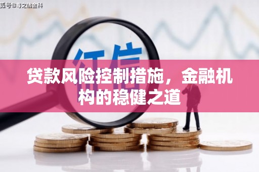 狮潭贷款风险控制措施，金融机构的稳健之道
