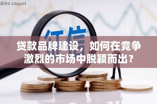 狮潭贷款品牌建设，如何在竞争激烈的市场中脱颖而出？