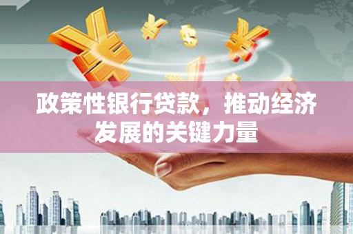 狮潭政策性银行贷款，推动经济发展的关键力量
