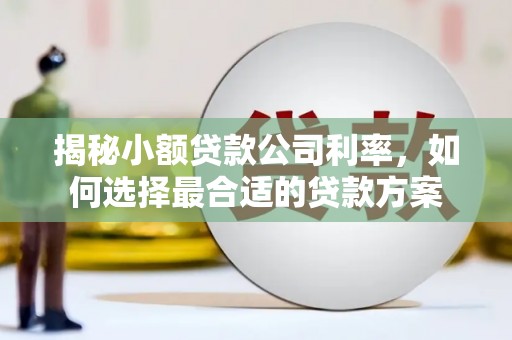狮潭揭秘小额贷款公司利率，如何选择最合适的贷款方案