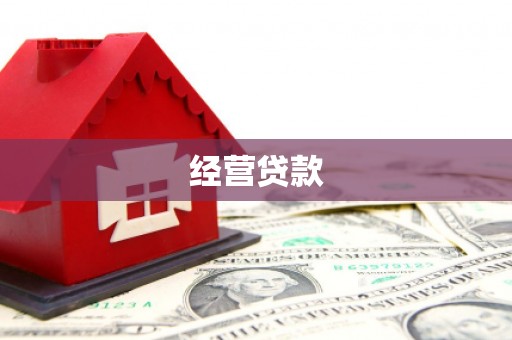 狮潭经营贷款