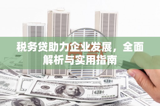 狮潭税务贷助力企业发展，全面解析与实用指南