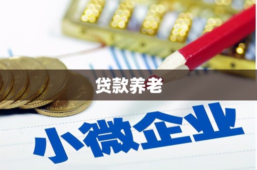 狮潭贷款养老