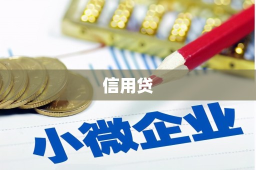 狮潭信用贷