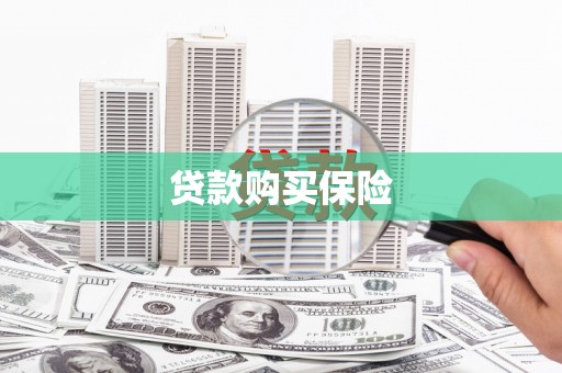 狮潭贷款购买保险