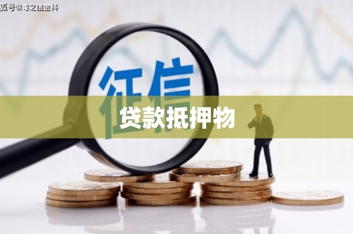 狮潭贷款抵押物