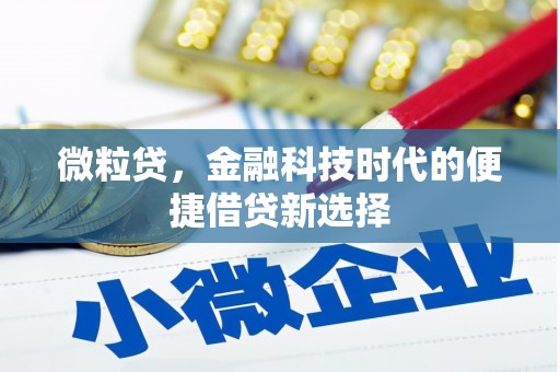 狮潭微粒贷，金融科技时代的便捷借贷新选择